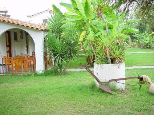 Banana Place Aparthotel Zacharo Luaran gambar